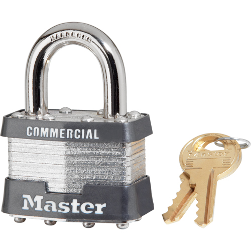 Cadenas lamin&eacute;, Argent, Cl&eacute;s identiques, Acier lamin&eacute;, Largeur de 1-3/4" Waymarc Industries Inc