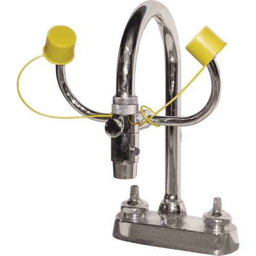 Eyewash Station, Sink Mount Installation Waymarc Industries Inc