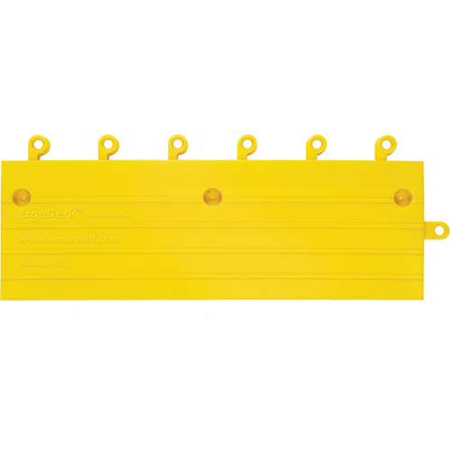 Rampe accessoire ErgoDeck Waymarc Industries Inc