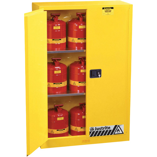 Armoires Sure-Grip EX pour produits inflammables, 45 gal., 2 Porte(s), 43" La x 65" h x 18" p Waymarc Industries Inc