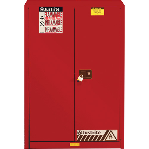 Armoire de s&eacute;curit&eacute; pour la peinture et les encres combustibles EX Sure-Grip, 60 gal., 5 tablettes Waymarc Industries Inc