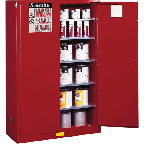 Armoire de s&eacute;curit&eacute; pour la peinture et les encres combustibles EX Sure-Grip, 60 gal., 5 tablettes Waymarc Industries Inc