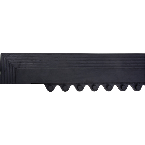 Rampe de bordure pour tapis Waymarc Industries Inc