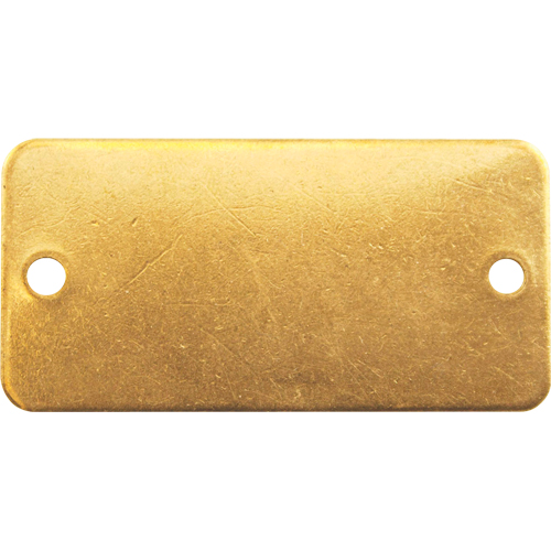 Blank Tags, Brass, 3" W x 1" H Waymarc Industries Inc