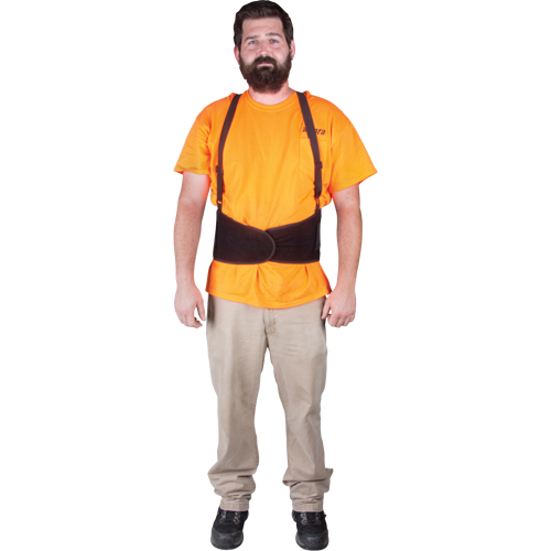 Back Support, Elastic, Small Waymarc Industries Inc