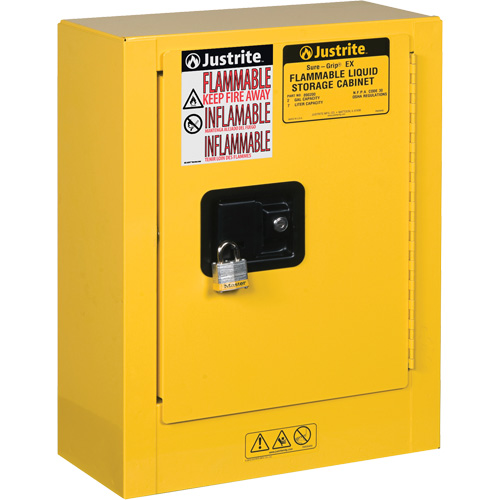 Mini-armoires de s&eacute;curit&eacute; Sure-Grip EX pour produits inflammables, 2 gal., 1 Porte(s), 17" La x 22" h x 8" p Waymarc Industries Inc