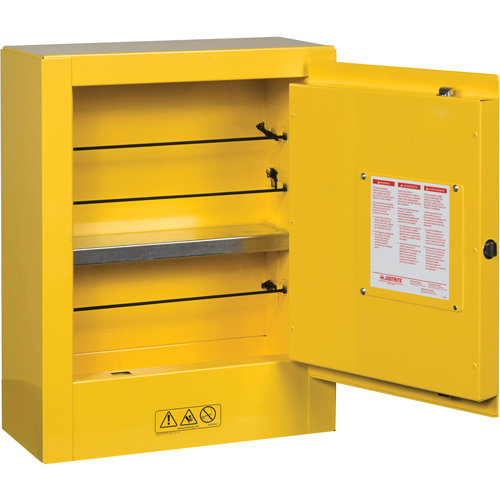 Mini-armoires de s&eacute;curit&eacute; Sure-Grip EX pour produits inflammables, 2 gal., 1 Porte(s), 17" La x 22" h x 8" p Waymarc Industries Inc