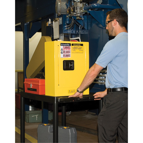 Mini-armoires de s&eacute;curit&eacute; Sure-Grip EX pour produits inflammables, 2 gal., 1 Porte(s), 17" La x 22" h x 8" p Waymarc Industries Inc