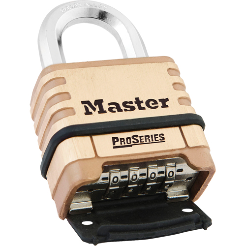 Cadenas &agrave; combinaison ProSeries, Argent, Rev&ecirc;tement en laiton, Largeur de 2-1/4" Waymarc Industries Inc