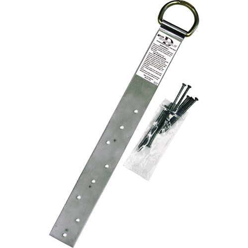 Ancrage simple pour toiture Miller, Anneau en D, Usage Permanent Waymarc Industries Inc