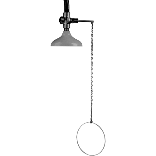 Lifesaver&reg; Emergency Overhead Showers, Ceiling-Mount Waymarc Industries Inc