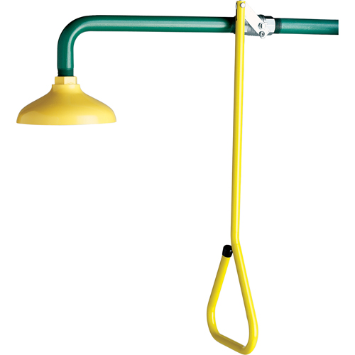 Lifesaver&reg; Emergency Overhead Showers, Wall-Mount Waymarc Industries Inc