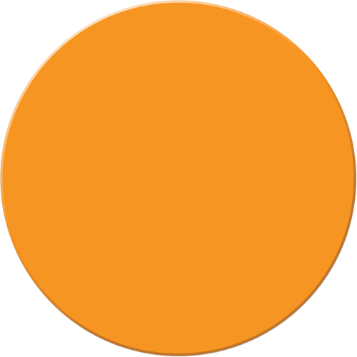 Armor Stripe Lean/5S Markers, Circle, 6" L x 6" W, Orange, Plastic Waymarc Industries Inc