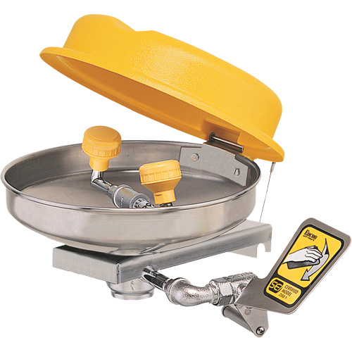 Poste de douche oculaire, Installation Montage mural, Bol Acier inoxydable Waymarc Industries Inc