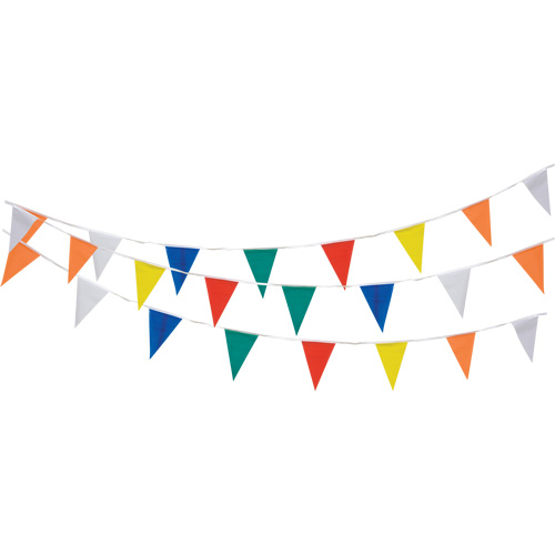 Pennant String, 60' L, Multicolour Waymarc Industries Inc