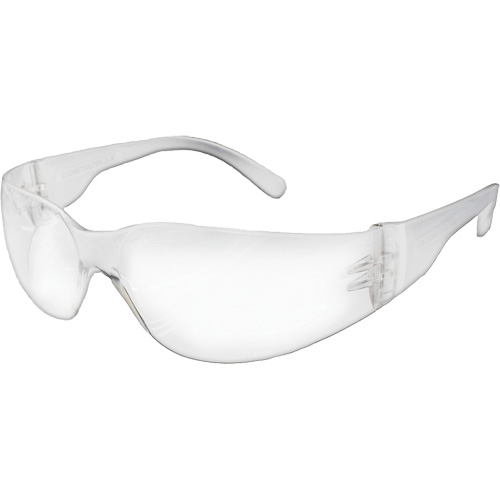 NOVA E-Series Safety Glasses, Clear Lens, Meets/Exceeds CSA Z94.3 Waymarc Industries Inc