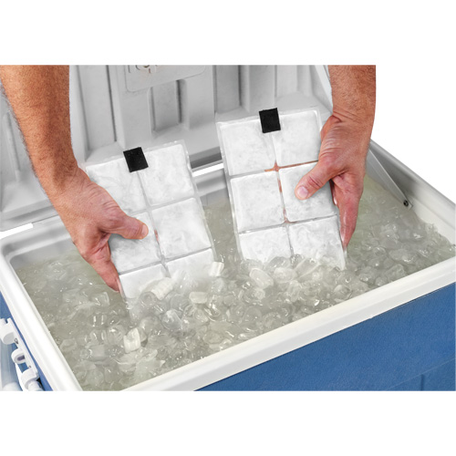 Sachets pour veste de refroidissement &agrave; changement de phase 6260 Chill-Its Waymarc Industries Inc