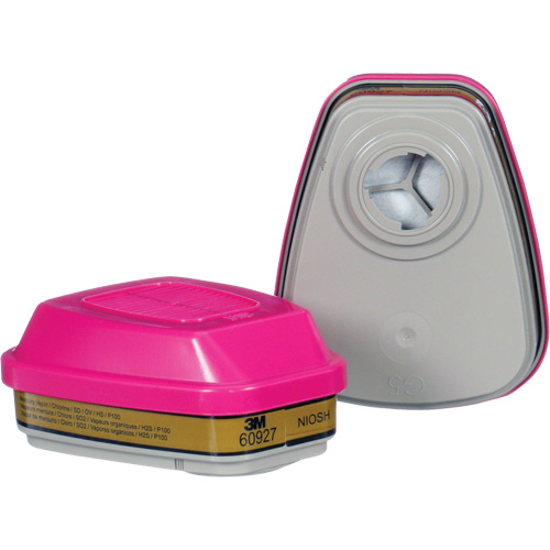 Cartouche, Combinaison cartouche et filtre contre les particules pour gaz/vapeurs, Gaz multiples/Vapeurs/P100 Waymarc Industries Inc