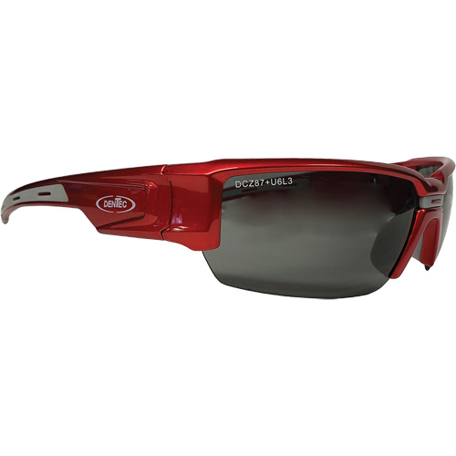 Hartley Safety Glasses, Grey Lens, Polarized, Meets/Exceeds CSA Z94.3 Waymarc Industries Inc