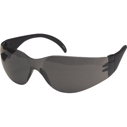 CeeTec Safety Glasses, Grey Lens, Anti-Fog/Anti-Scratch, Meets/Exceeds CSA Z94.3 Waymarc Industries Inc