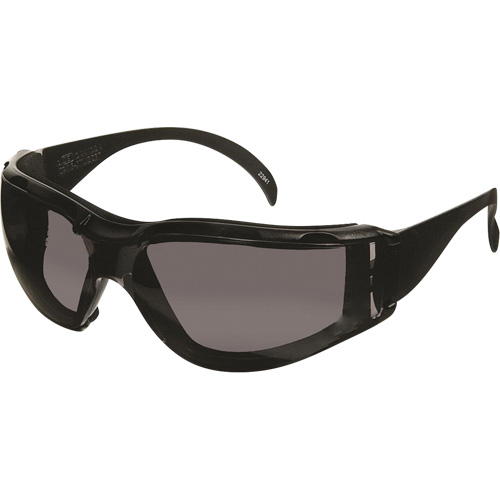 CeeTec DX Safety Glasses, Grey Lens, Anti-Fog/Anti-Scratch, Meets/Exceeds CSA Z94.3 Waymarc Industries Inc