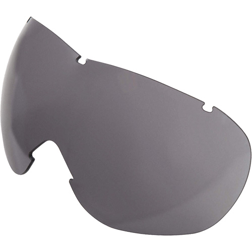 Lentille de rechange pour les lunettes de s&eacute;curit&eacute; &agrave; coques Uvex Sub-Zero, Antibu&eacute;e/anti-&eacute;gratignures, Gris, Uvex Sub-Zero Waymarc Industries Inc