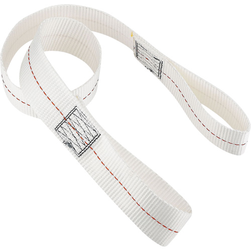 &eacute;lingue d'ancrage jetable Dynamic sans gaine de protection, Chaîne, Usage Temporaire Waymarc Industries Inc