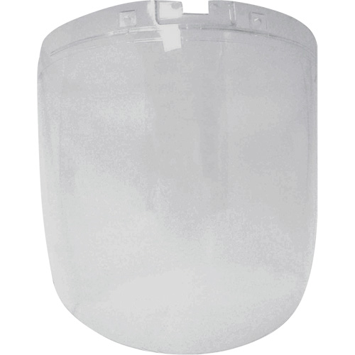 &eacute;cran antibrouillard de remplacement de la s&eacute;rie DP4, Polycarbonate, Teinte Transparent Waymarc Industries Inc