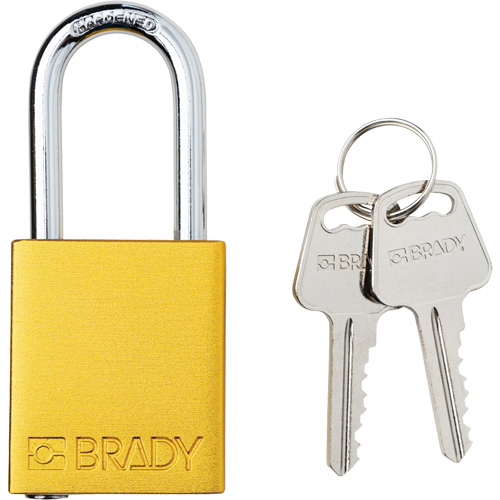 Cadenas de s&eacute;curit&eacute;, Cadenas de s&eacute;curit&eacute;, Cl&eacute;s diff&eacute;rentes, Aluminium, Largeur de 1-1/2" Waymarc Industries Inc