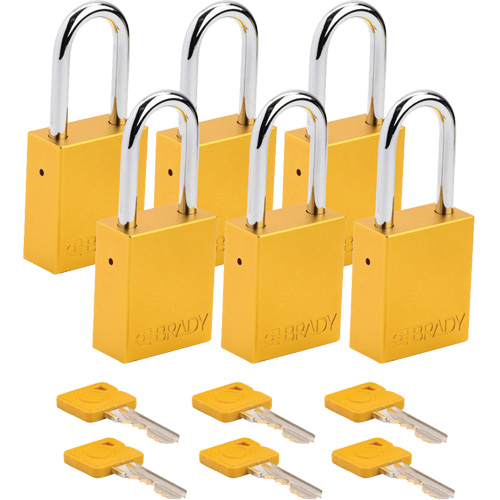 Cadenas de s&eacute;curit&eacute;, Cadenas de s&eacute;curit&eacute;, Cl&eacute;s identiques, Aluminium, Largeur de 1-1/2" Waymarc Industries Inc