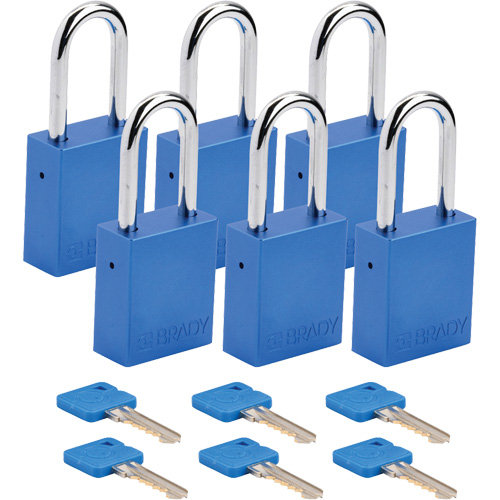 Cadenas de s&eacute;curit&eacute;, Cadenas de s&eacute;curit&eacute;, Cl&eacute;s identiques, Aluminium, Largeur de 1-1/2" Waymarc Industries Inc