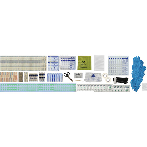 Shield First Aid Kit, Meets/Exceeds CSA Z1220-24 Type 2 Low-Risk Environment, Large (51-100 Workers) Waymarc Industries Inc