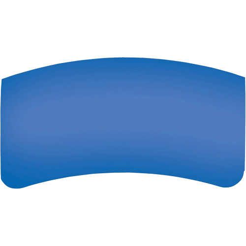 Bullard GenVX PETG Outer Lens Waymarc Industries Inc