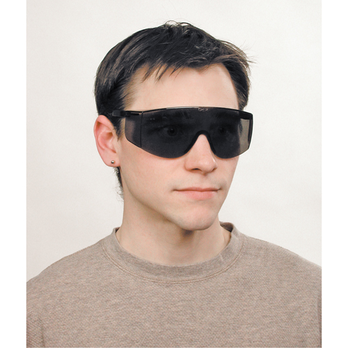 Lunettes de s&eacute;curit&eacute; Tacoma, Lentille Grise/fum&eacute;e, Anti-&eacute;gratignures, ANSI Z87+ Waymarc Industries Inc