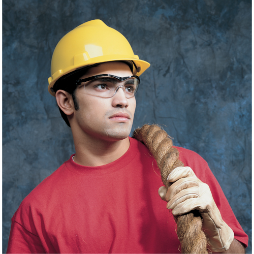 Lunettes de s&eacute;curit&eacute; Storm, Lentille Transparent, Anti-&eacute;gratignures, ANSI Z87+ Waymarc Industries Inc