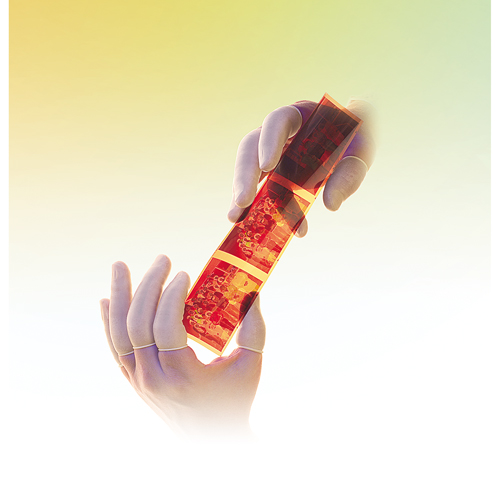 QRP&reg; Powder-Free Qualatex Latex Finger Cots Waymarc Industries Inc