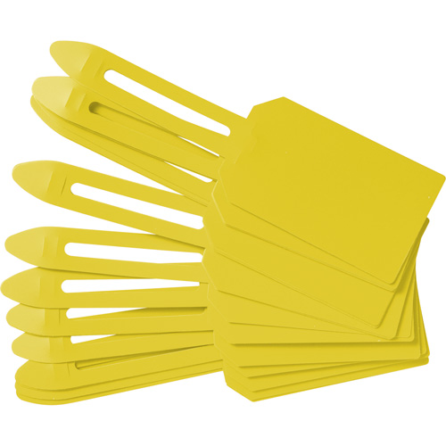 &eacute;tiquettes de cadenassage vierges en plastique, Plastique, 3-1/4" la x 5-4/5" h, Vierge Waymarc Industries Inc