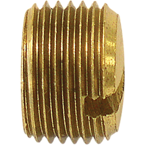 Pipe Plug (Slotted), 1/4" Dia., Brass Waymarc Industries Inc