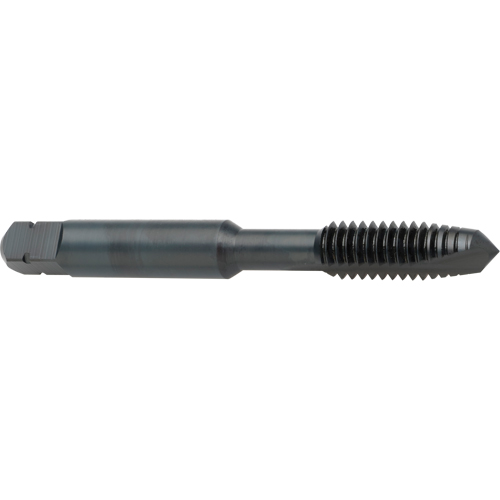 Taraud &agrave; entr&eacute;e h&eacute;licoidale, Acier rapide au cobalt, Filet de 8-32, 2-1/8" l Waymarc Industries Inc