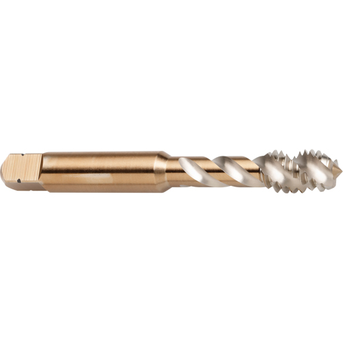 Taraud &agrave; cannelure en spirale 45°, Acier rapide au cobalt, Filet de 8-32, 2-1/8" l Waymarc Industries Inc
