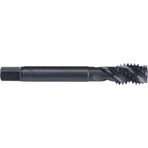Taraud &agrave; cannelure en spirale 45°, Acier rapide au cobalt, Filet de 1/4"-20, 2-1/2" l Waymarc Industries Inc