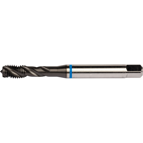 Taraud &agrave; cannelures h&eacute;licoidales Blue Shark, Acier rapide au cobalt, Filet de 1/4"-28, 3,15" l Waymarc Industries Inc