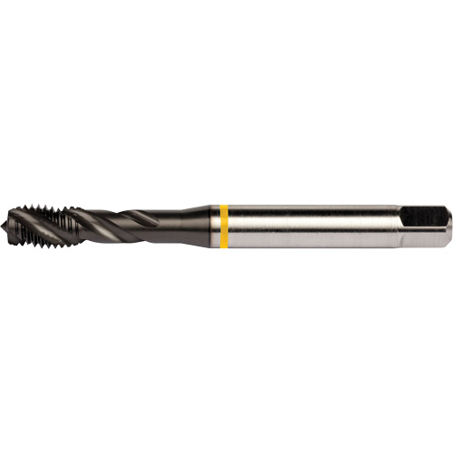 Taraud &agrave; goujures h&eacute;licoidales Yellow Shark, Acier rapide au cobalt, Filet de 1/4"-20, 3,15" l Waymarc Industries Inc