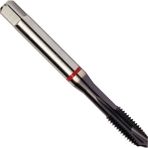 Red Shark Spiral Point Tap, High Speed Cobalt, 1/4"-20 Thread, 3.15" L Waymarc Industries Inc