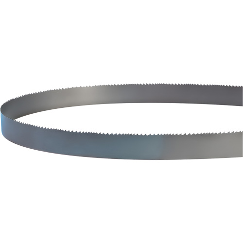 Lame soud&eacute;e pour scie &agrave; ruban, Bim&eacute;tal, 14' lo x 1" la x 4 - 6 dents par pouce Waymarc Industries Inc