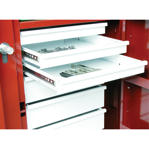 &eacute;tabli roulant, 49-7/8" la x 40-5/8" h x 26-7/8" p, Capacit&eacute; de 24,6 pi³ Waymarc Industries Inc