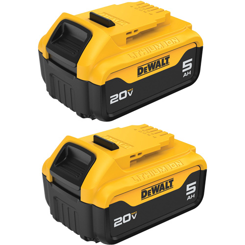 Bloc-piles Max XR Premium, Lithium-ion, 20 V, 5 A Waymarc Industries Inc