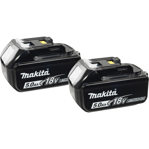 Blocs-piles, Lithium-ion, 18 V, 5,0 A Waymarc Industries Inc