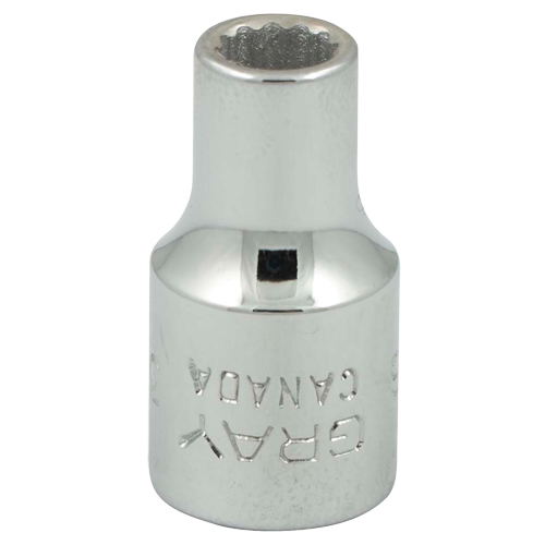 Socket, 3/16", 1/4" Drive, 12 Points Waymarc Industries Inc