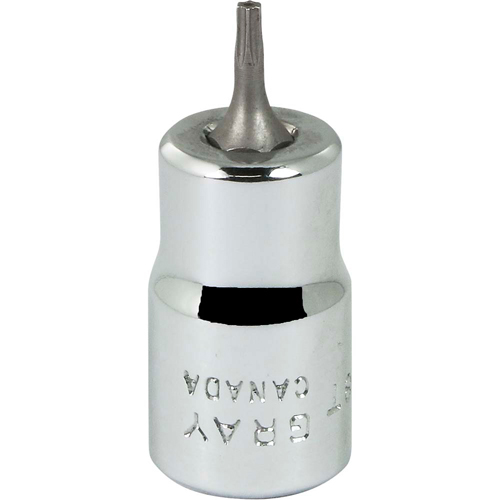 Bit Socket, Torx&reg;, T8 x 2-1/8" L, 3/8" Drive Waymarc Industries Inc